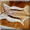 D12. Springbok or antelope hide. 